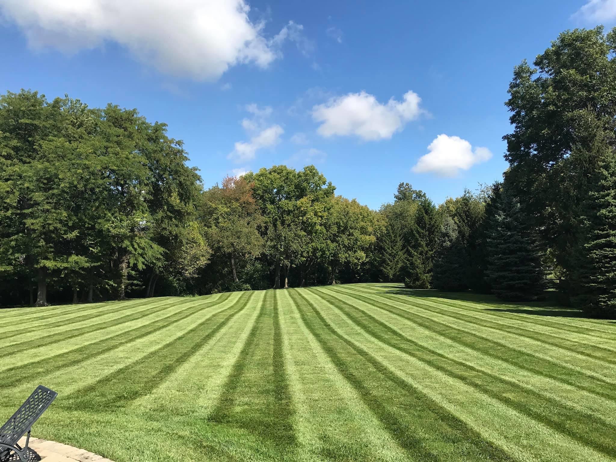 Landscape Maintenance